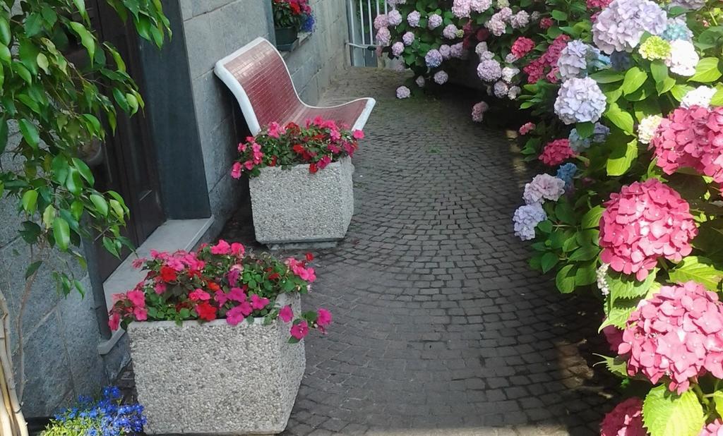 مبيت وإفطار Alpignano Casa Delle Ortensie المظهر الخارجي الصورة